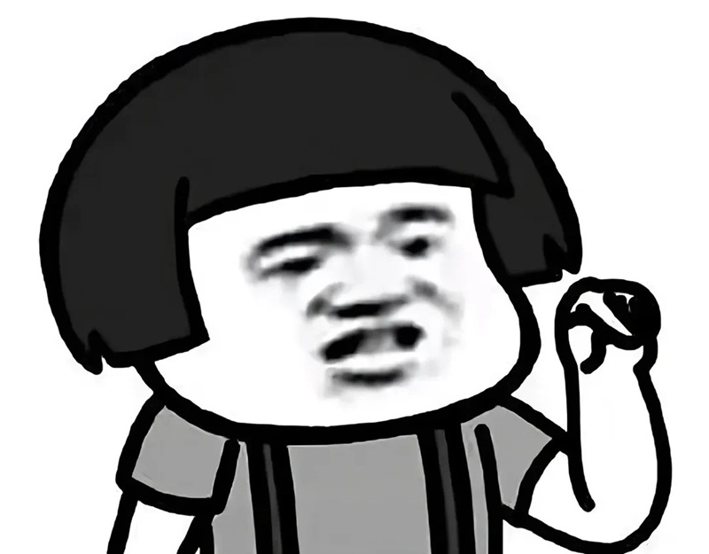meme gấu 31