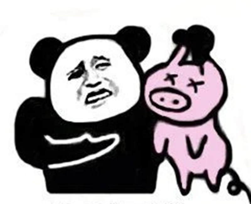 meme gấu 34
