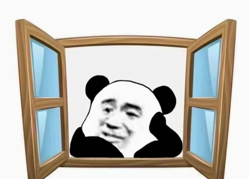 meme gấu 35