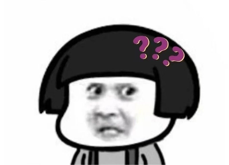 meme gấu 36