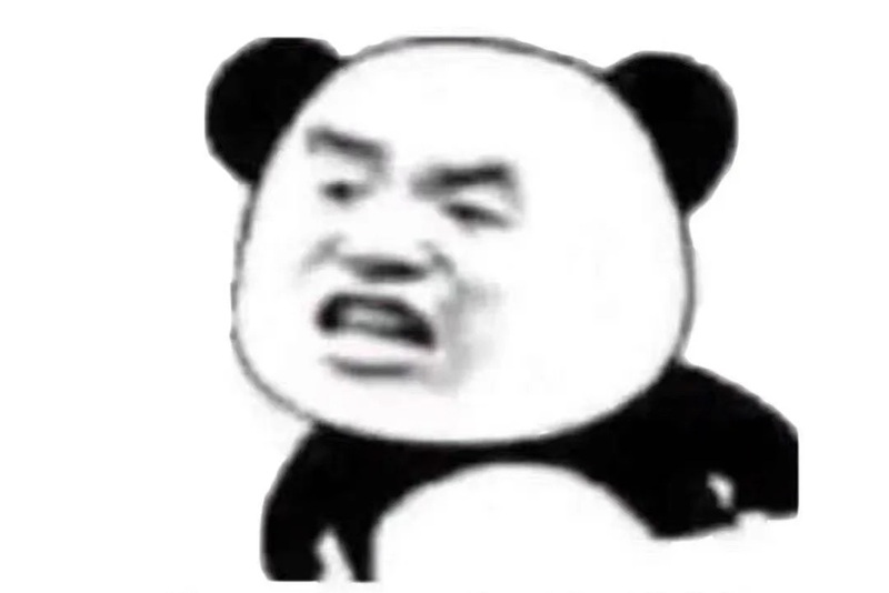 meme gấu 37