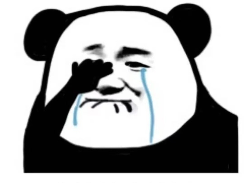 meme gấu 38