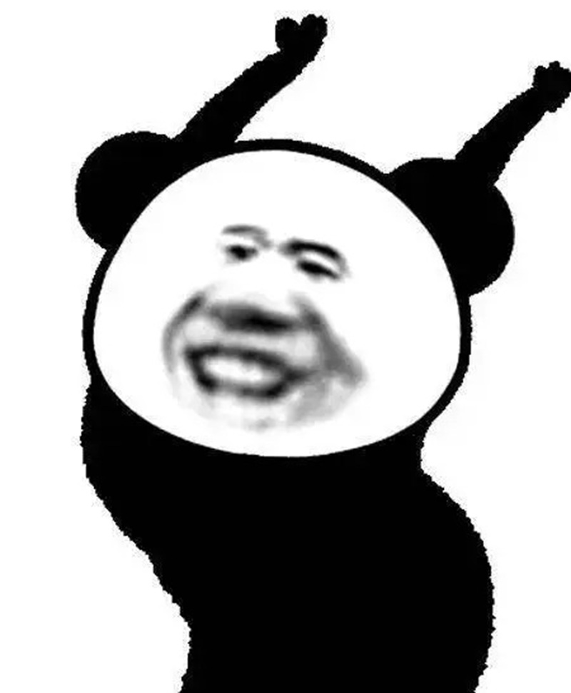 meme gấu 4