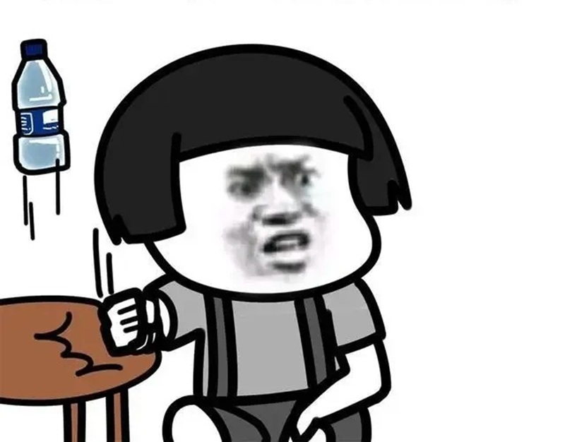 meme gấu 40