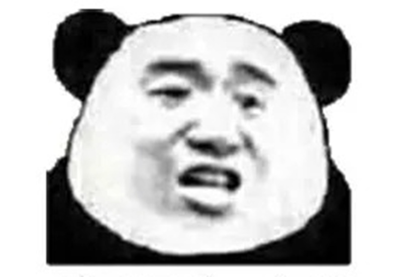 meme gấu 5