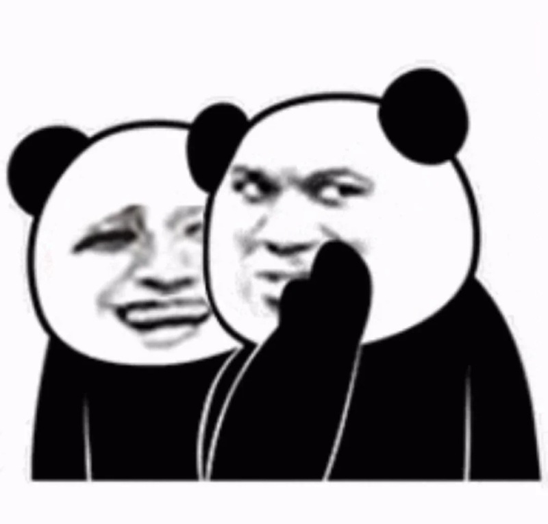 meme gấu 8