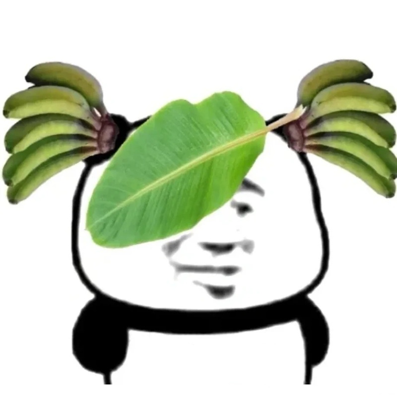 meme gấu trúc 21