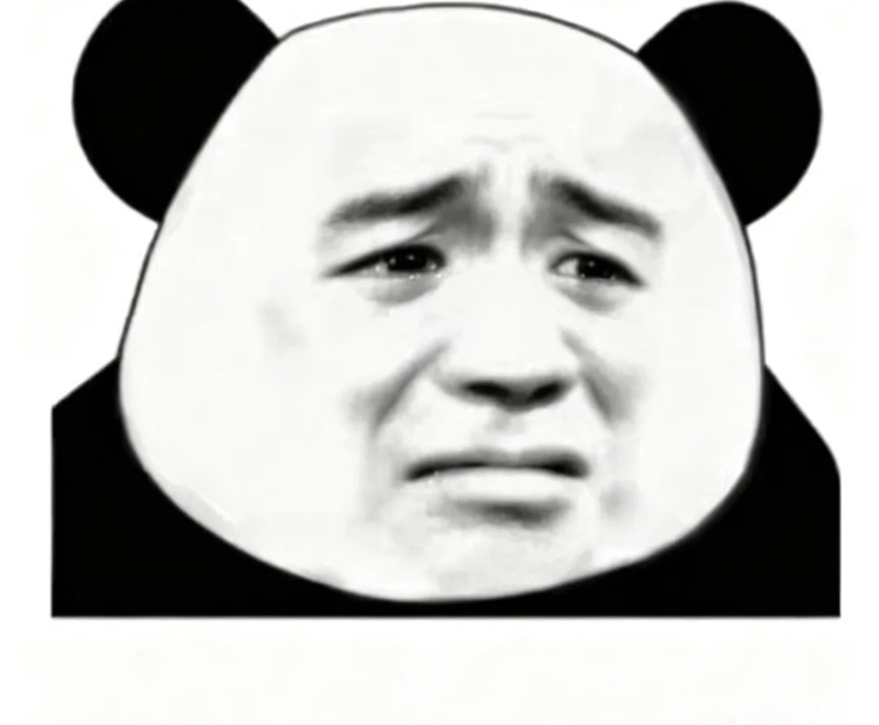 meme gấu trúc 28