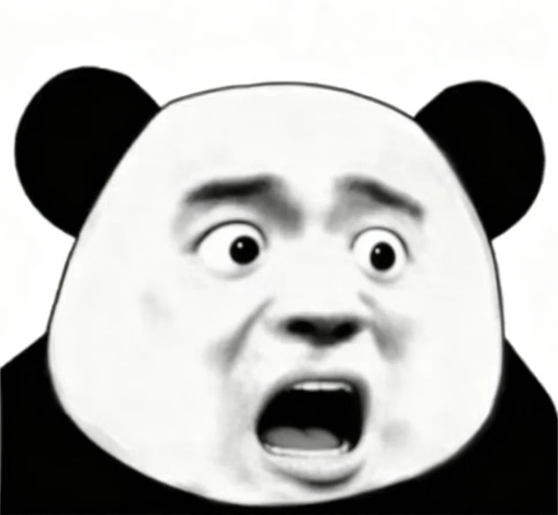 meme gấu trúc 29