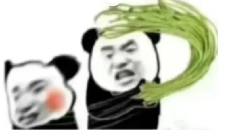meme gấu trúc 30