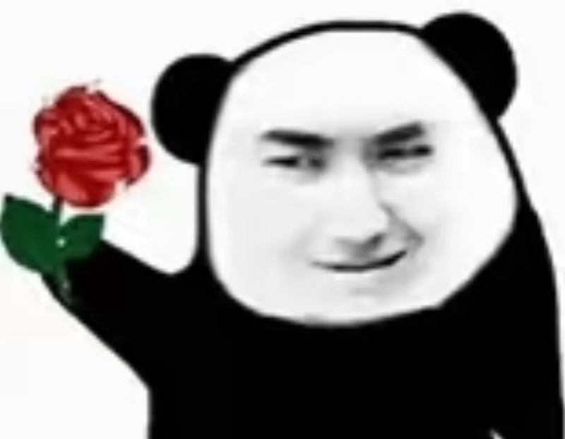 meme gấu trúc 5