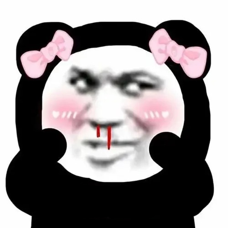 meme gấu trúc 6
