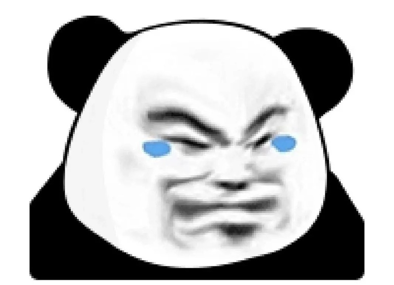 meme gấu trúc 8