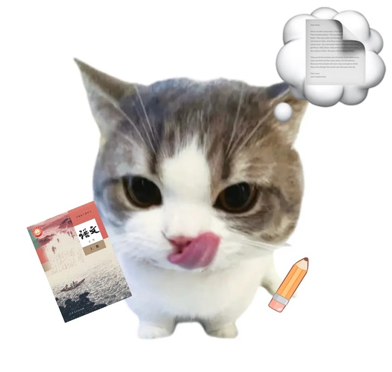 meme ghi chép 15