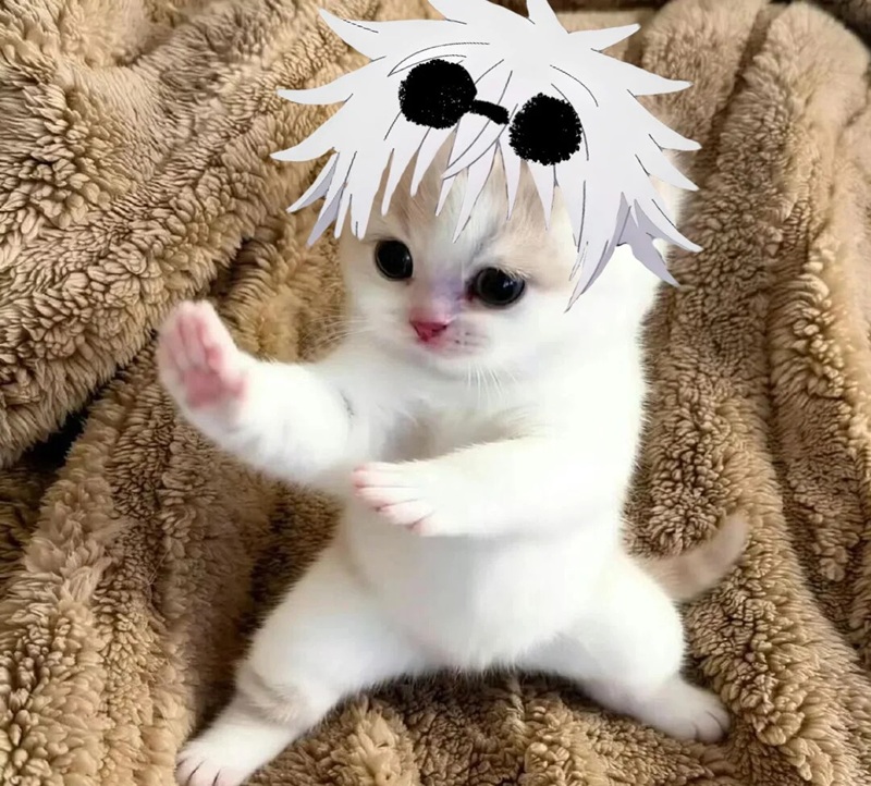 meme gojo 5