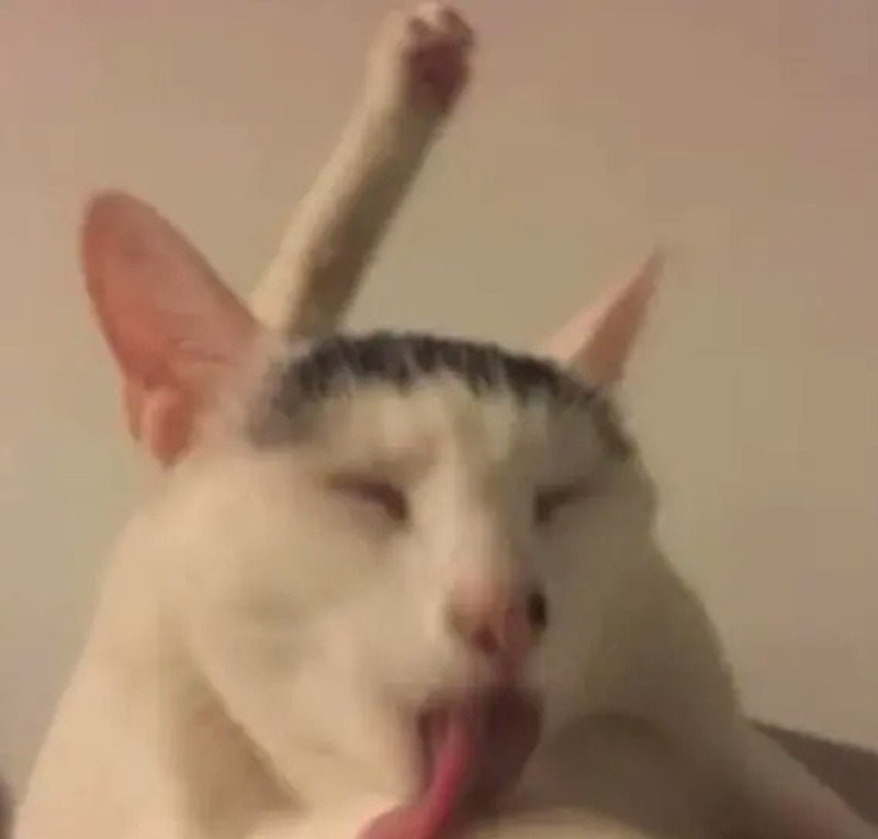meme hài hước 18