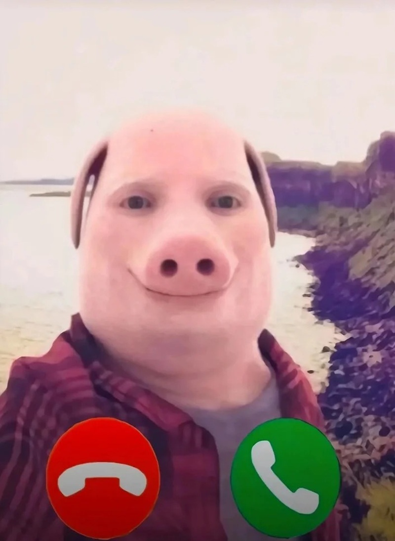 meme hài hước 21