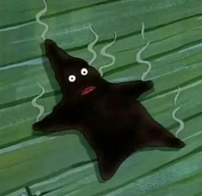 meme hài hước 38