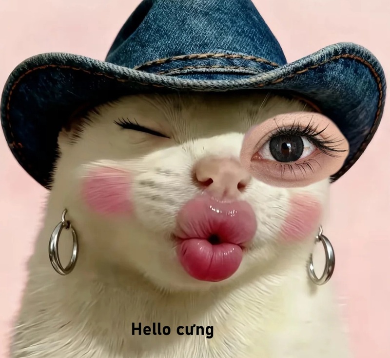 meme hello 21
