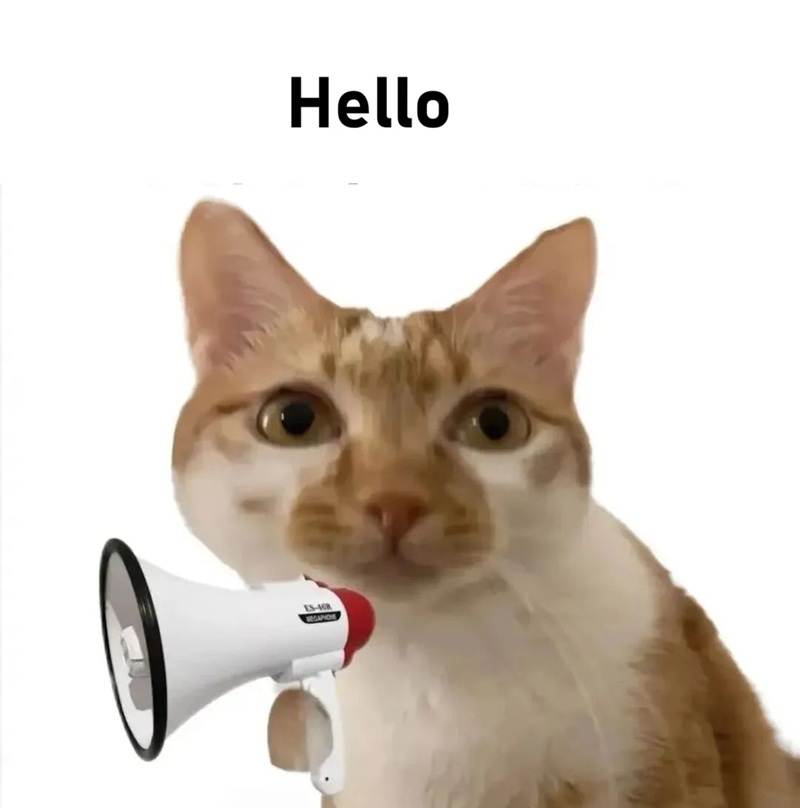meme hello 33