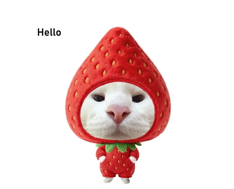 meme hello 7