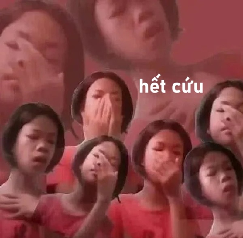 meme hết cứu 12