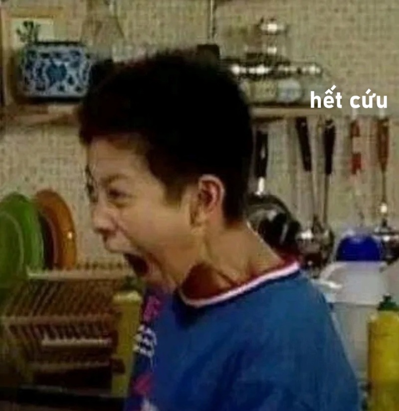 meme hết cứu 16