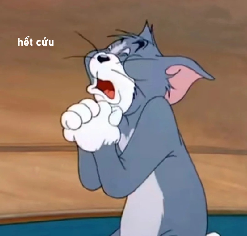 meme hết cứu 17