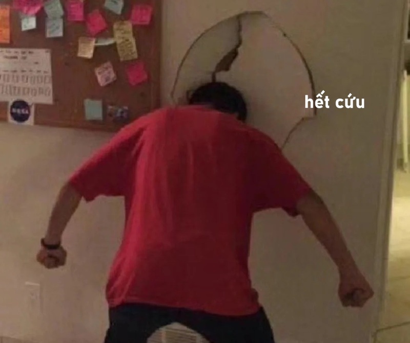 meme hết cứu 18