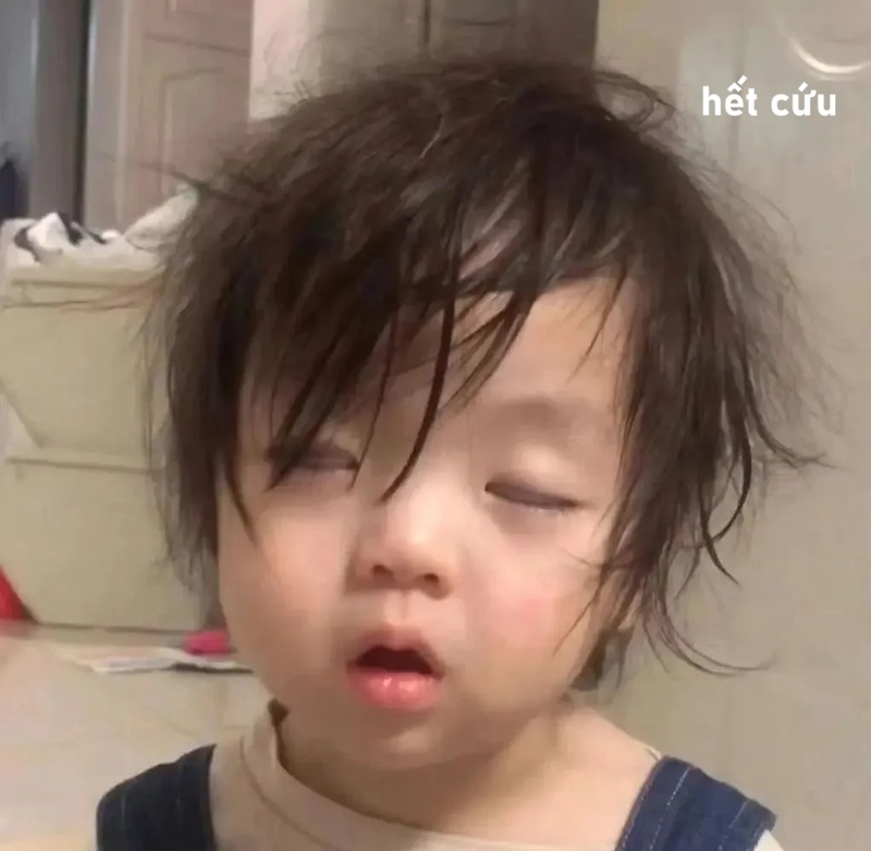 meme hết cứu 35