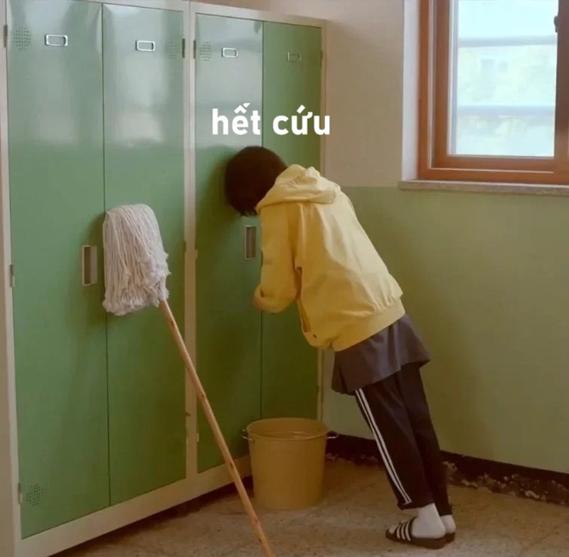 meme hết cứu 36