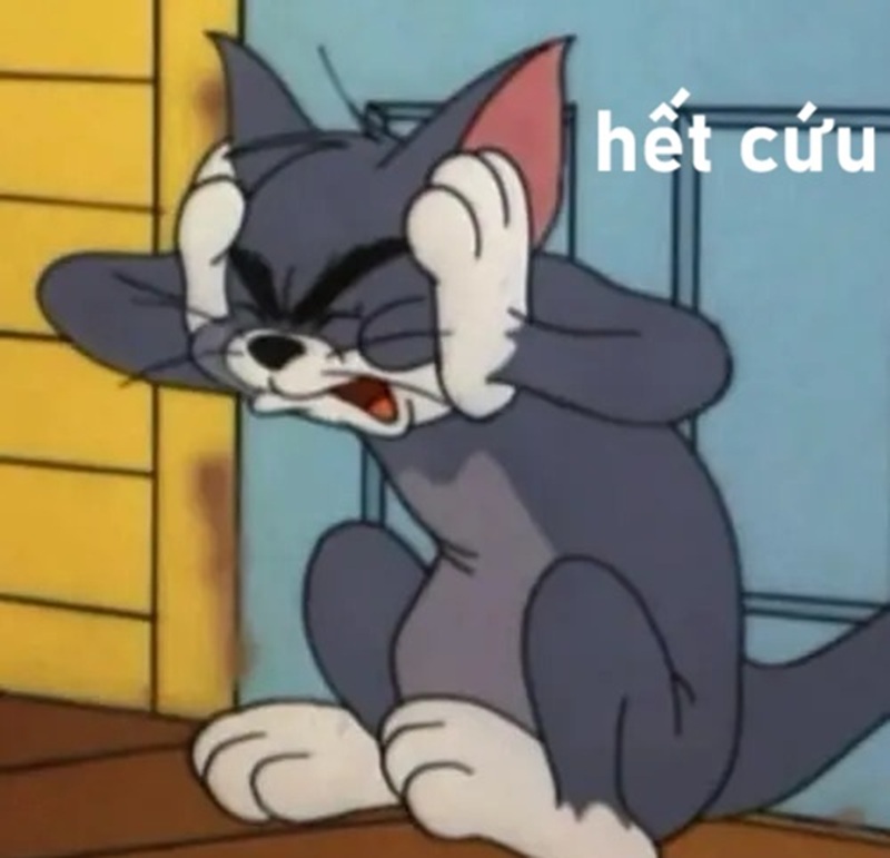 meme hết cứu 4