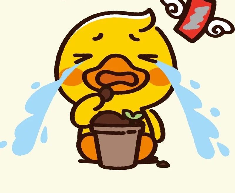 meme hết tiền 15