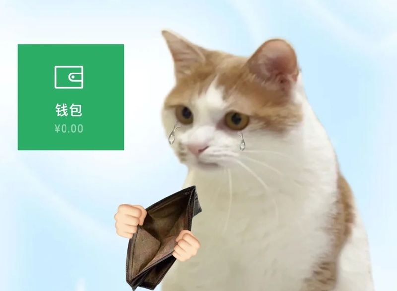 meme hết tiền 18