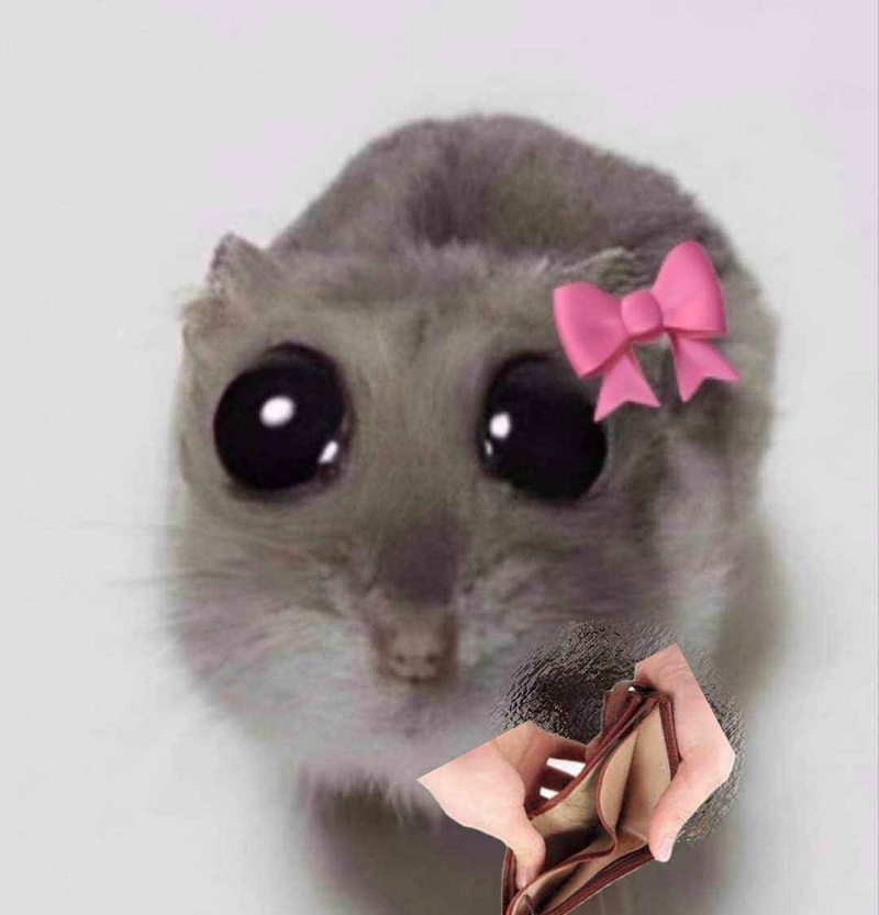 meme hết tiền 5