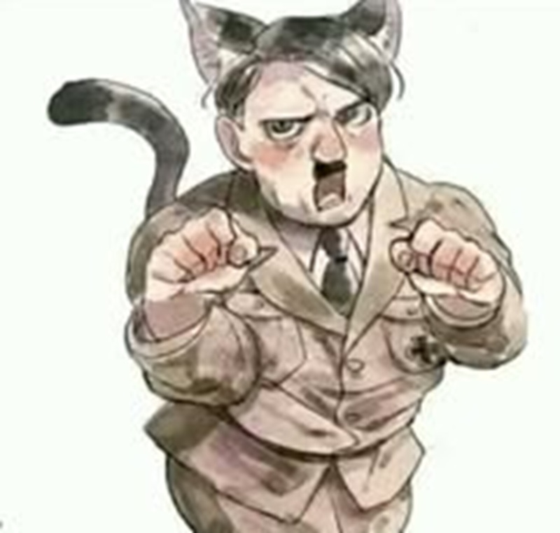 meme hitler 16