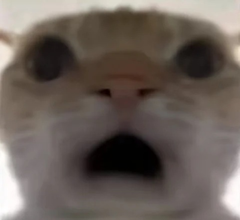 meme hoảng hốt 17
