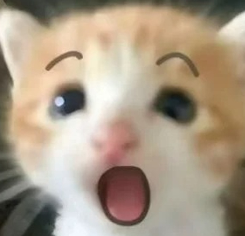meme hoảng hốt 18