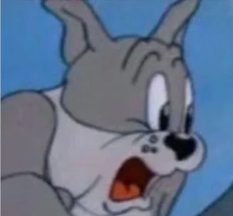 meme hoảng hốt 2