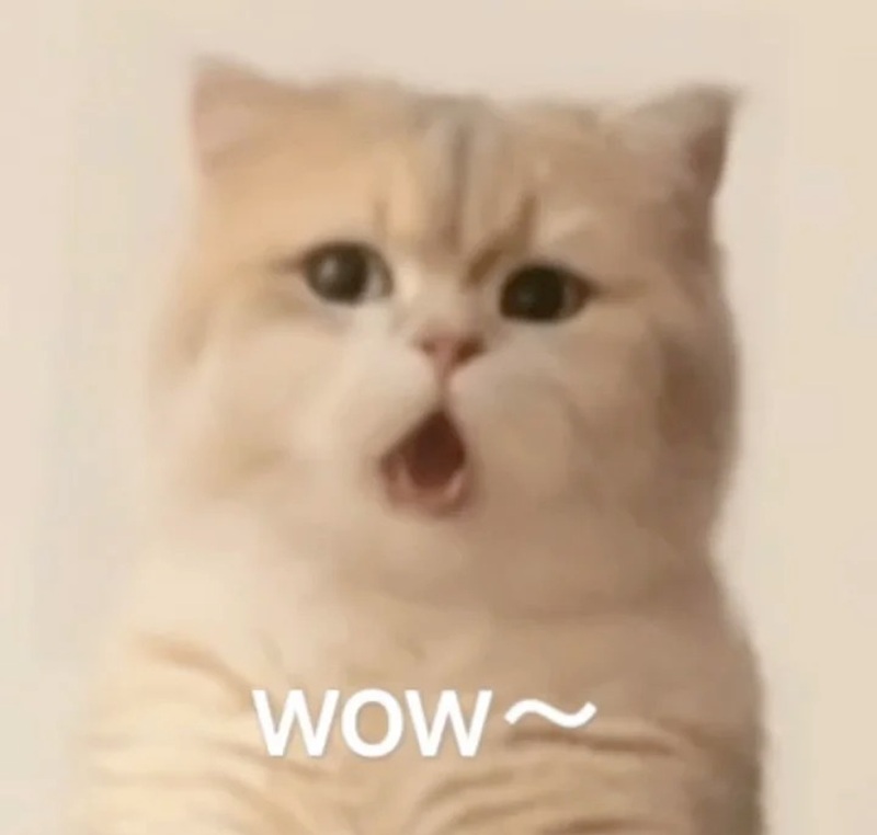 meme hoảng hốt 20