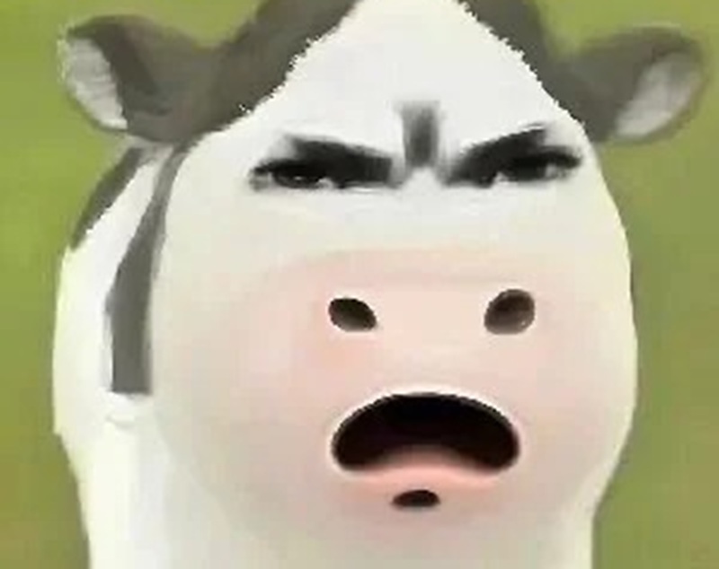 meme hoảng hốt 22