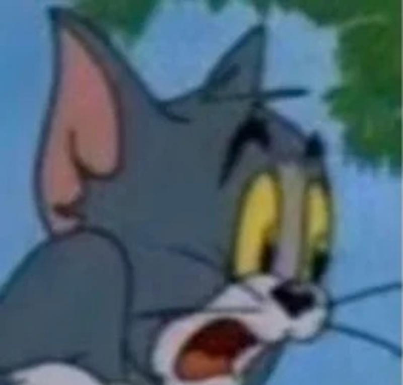 meme hoảng hốt 3