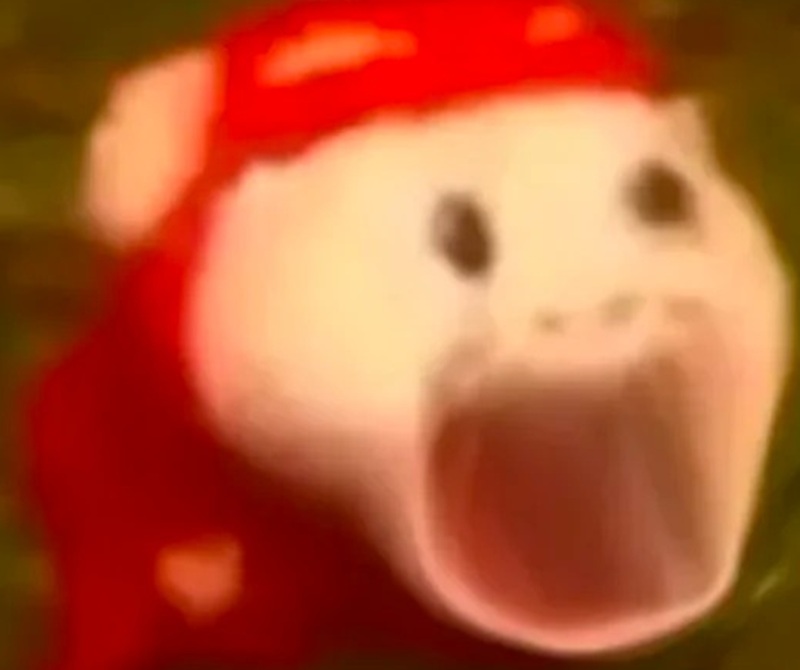 meme hoảng hốt 34