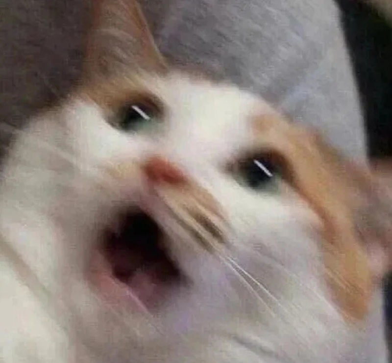 meme hoảng hốt 37