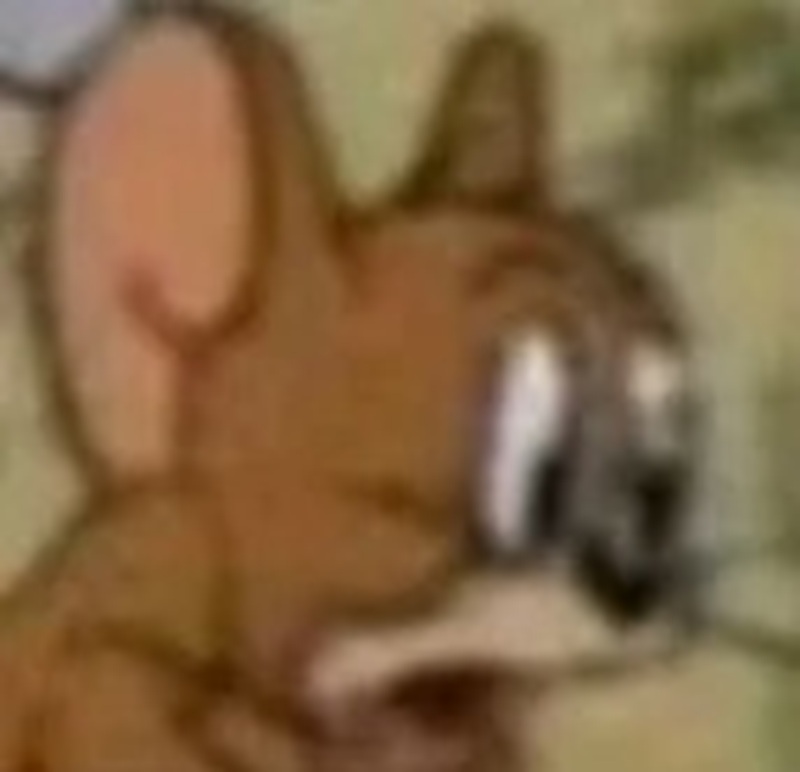 meme hoảng hốt 4