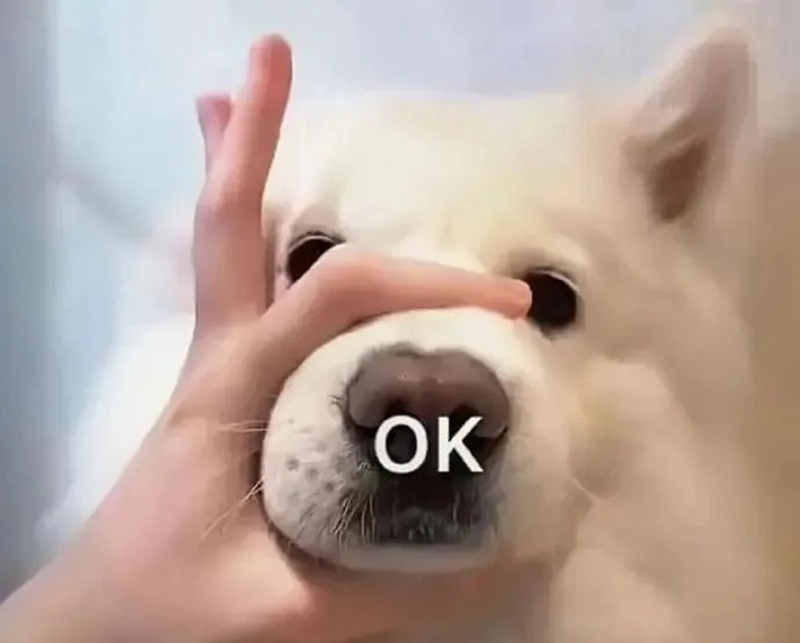meme im lặng 25