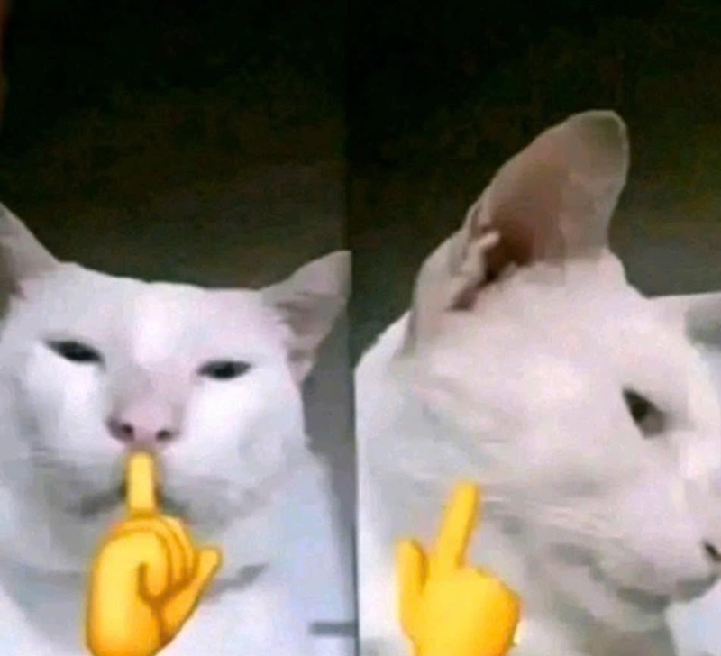 meme im lặng 8