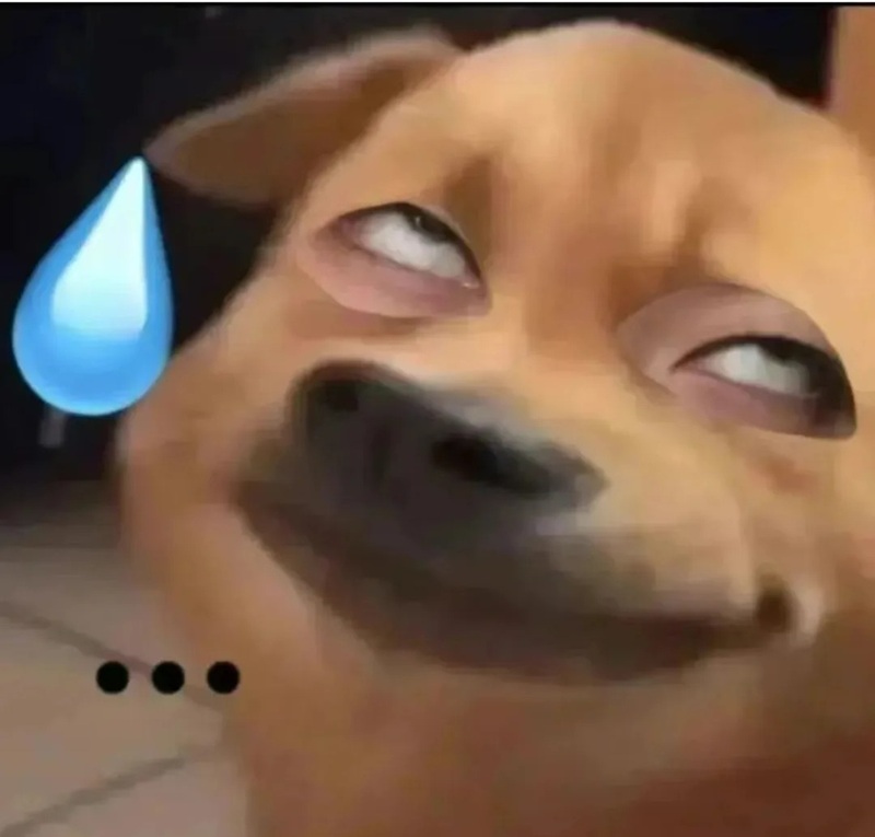 meme khinh bỉ 18