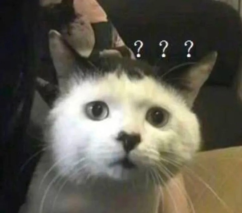 meme khó hiểu 11