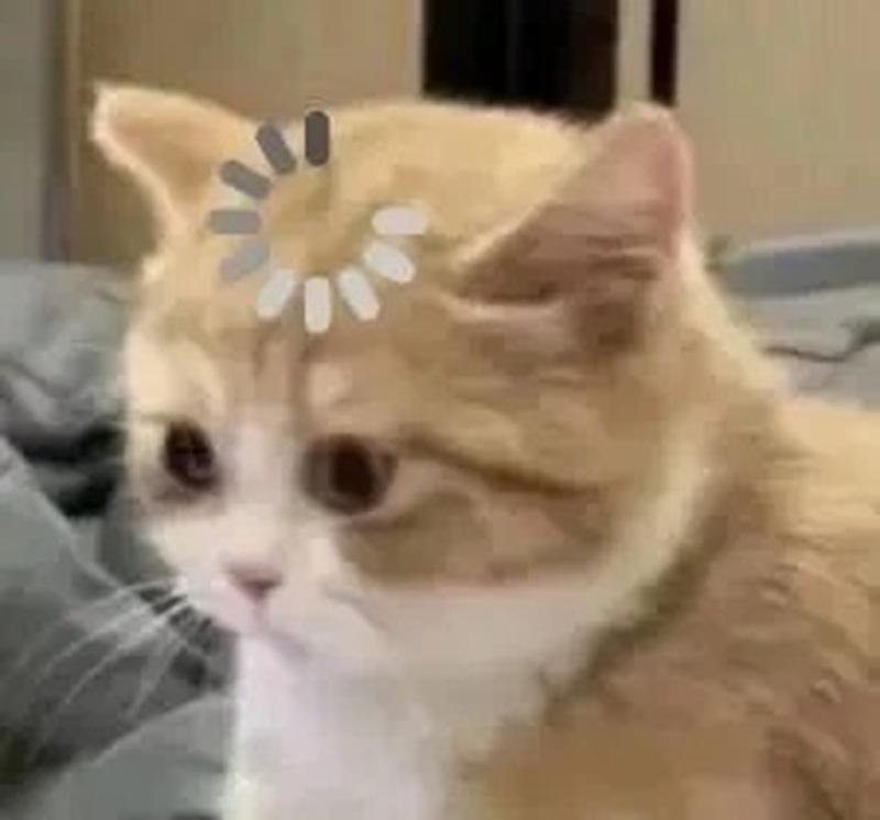 meme khó hiểu 15